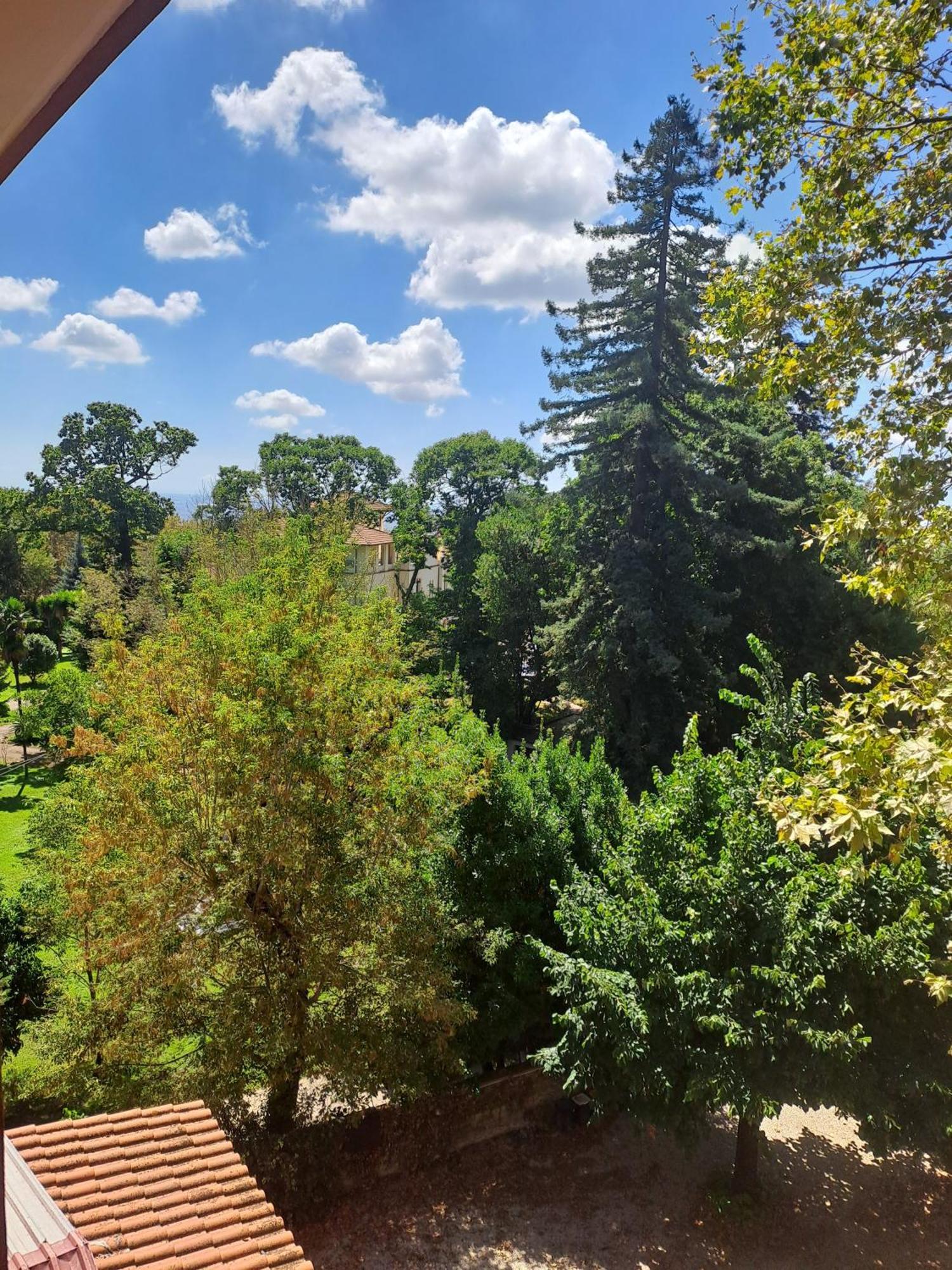 Hotel Villa Robinia جنزانو دي روما المظهر الخارجي الصورة